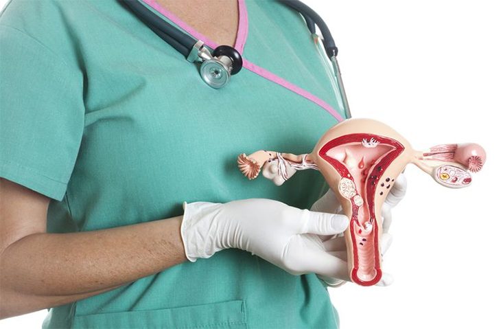 Cắt tử cung là phương pháp được thực hiện khi bác sĩ phát hiện có tế bào ung thư ở polyp