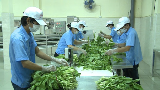 Khám sức khỏe thẻ xanh như thế nào