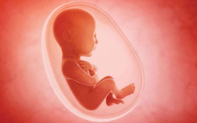 Có bầu bị rối loạn tiền đình có ảnh hưởng đến thai nhi không?