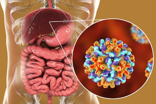 Nên tầm soát ung thư gan ở đâu?