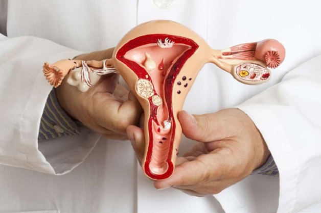 Thông vòi trứng như thế nào là vấn đề nhiều chị em quan tâm