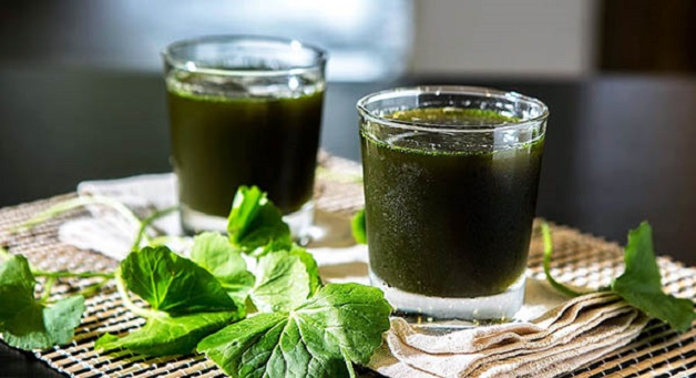 Trong rau má chứa nhiều beta caroten, saponins, các loại vitamin nhóm B có khả năng tăng tốc độ chữa lành tổn thương lợi, nướu, hỗ trợ chữa nhiệt miệng cực nhanh chóng.