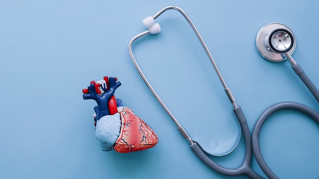 Hẹp van tim 2 lá có chữa được không còn tùy thuộc vào các triệu chứng và mức độ bệnh khi phát hiện.
