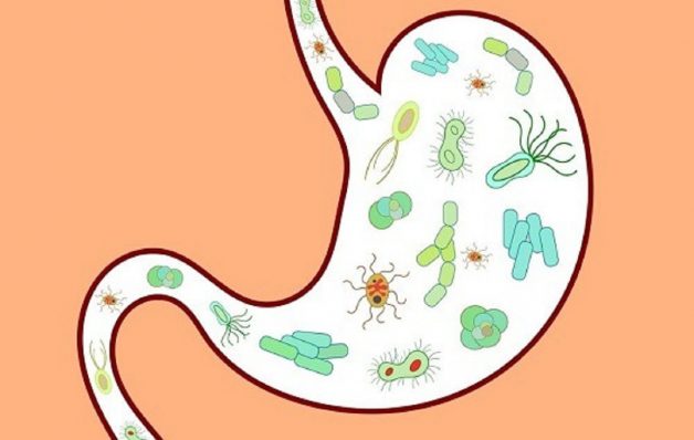 Rối loạn tiêu hóa là một hội chứng xảy ra bởi sự co thắt bất thường của các cơ vòng trong hệ thống tiêu hóa