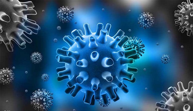 Sốt phát ban là do virus herpes 6 hoặc 7 gây ra.