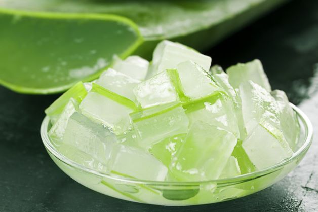 Chính khả năng hoạt động như một hoạt chất kháng khuẩn tự nhiên và lành tính, nha đam giúp tiêu diệt vi khuẩn cực kỳ hiệu quả.