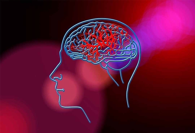 Thiếu máu não nguy hiểm như thế nào