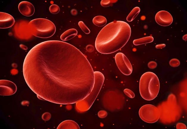 Xét nghiệm máu có rất nhiều ý nghĩa