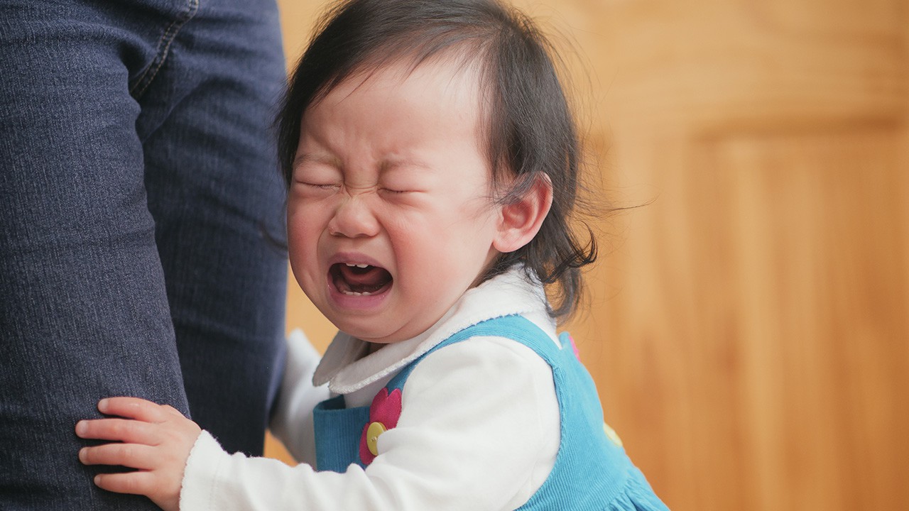 tâm lý trẻ mới đi nhà trẻ