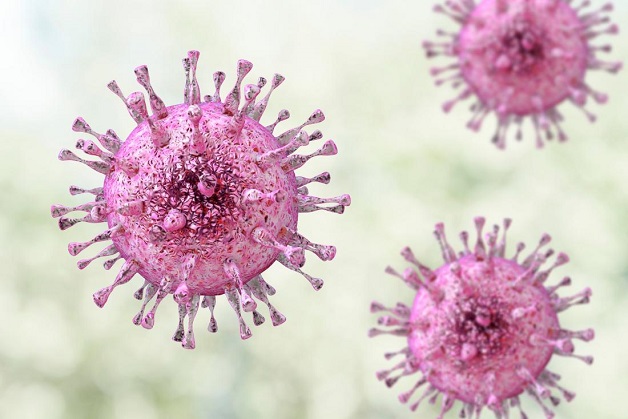 Sốt phát ban là chứng bệnh lây nhiễm do virus human herpes 6, 7 gây ra