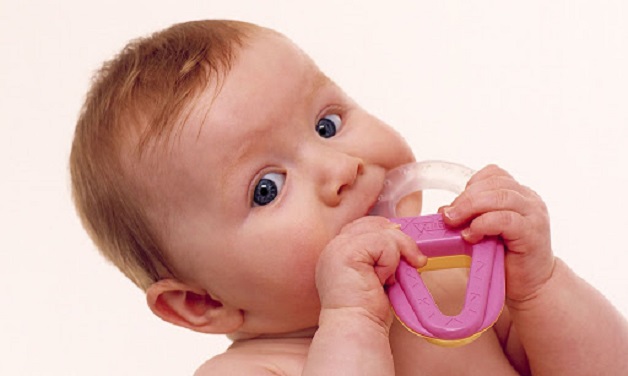 Do mầm răng đang nhú lên khiến bé luôn cảm thấy vô cùng khó chịu, bứt rứt nên thường hay gặm, cắn đồ chơi
