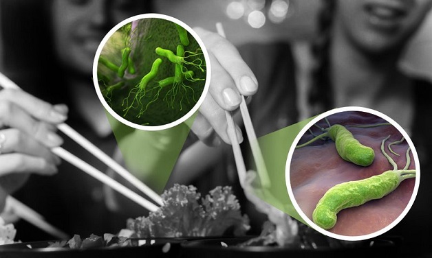 Vi khuẩn HP lây nhiễm qua đường nào - phổ biến nhất là đường miệng - miệng