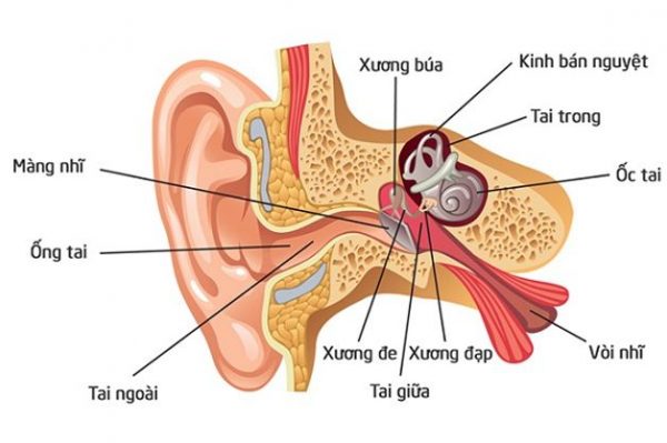 viêm ống tai ngoài có mủ