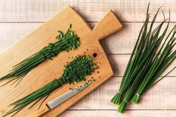 trị viêm ống tai ngoài