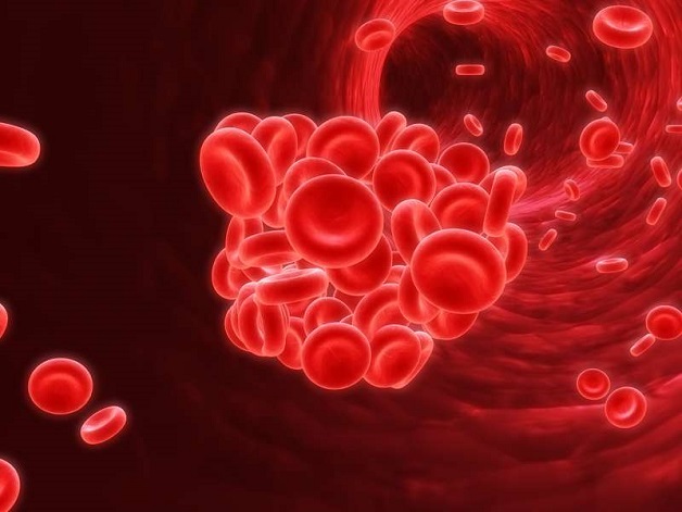 xét nghiệm vitamin B12 như thế nào