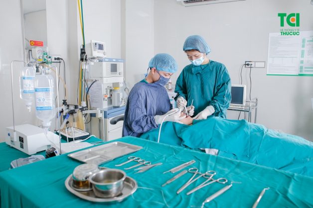 Bác sĩ tiến hành tiêm thuốc tê cho bệnh nhân để đảm bảo sau khi cấy ghép, bệnh nhân sẽ không cảm thấy khó chịu hoặc cử động nhiều gây ảnh hưởng đến việc cấy ghép của bác sĩ.