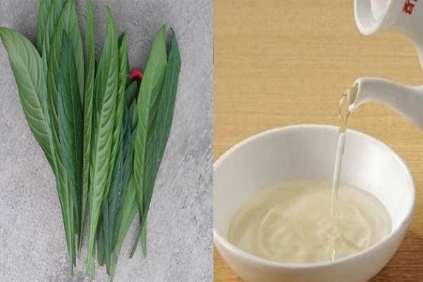 lá xương sông