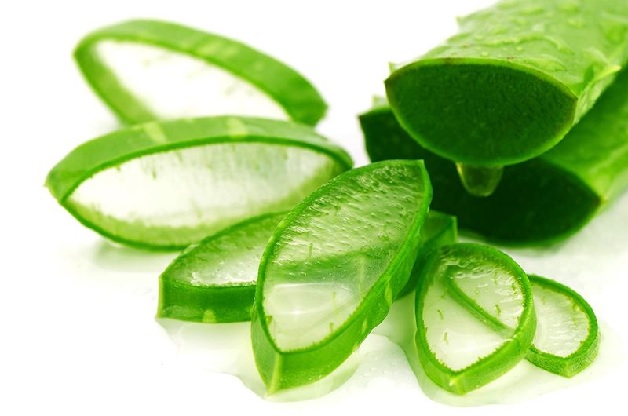Các bạn nên dùng gel nha đam để làm giảm đau nướu tạm thời