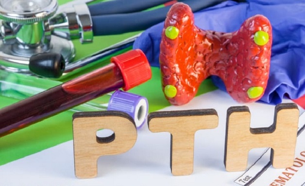 tìm hiểu về xét nghiệm PTH