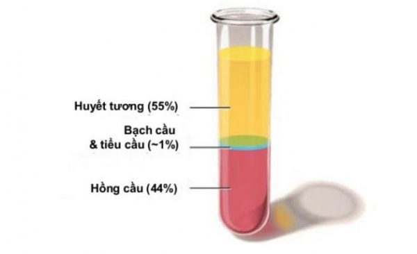 lọc huyết tương