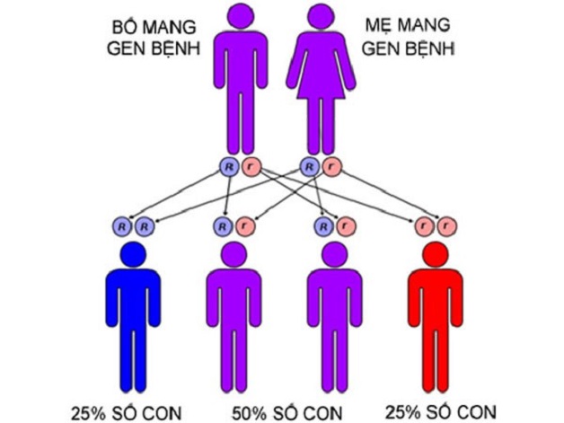 Quy trình xét nghiệm gen tầm soát ung thư như thế nào?