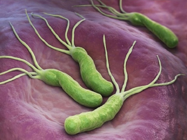 xét nghiệm H.pylori ở đâu
