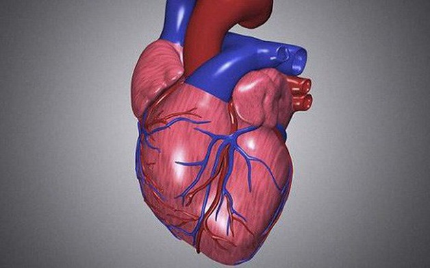 Hẹp van tim xảy ra khi van tim dày lên và cứng