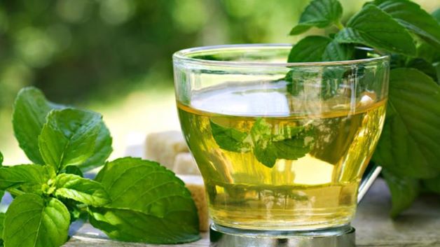 Ngâm lá bạc hà trong nước sôi khoảng 20 – 30 phút hoặc pha loãng vài giọt tinh dầu bạc hà với 200ml nước đun sôi để nguội rồi cho trẻ súc miệng, cơn đau răng sẽ dần biến mất.