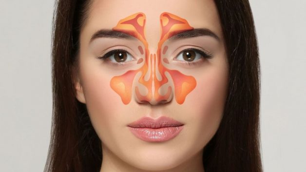 Tìm hiểu cơ bản về xoang bướm