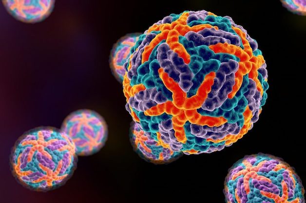 Bệnh sốt xuất huyết là do virus Dengue ký sinh ở muỗi vằn Aedes Aegypti gây ra.