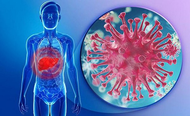 viêm gan virus mạn là gì?