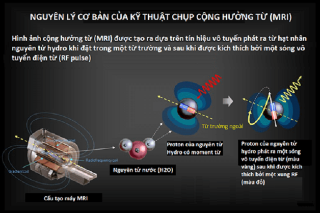 bệnh viện chụp cộng hưởng từ MRI dựa trên nguyên lý nào?