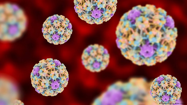 Phương pháp điều trị ung thư cổ tử cung do virus HPV