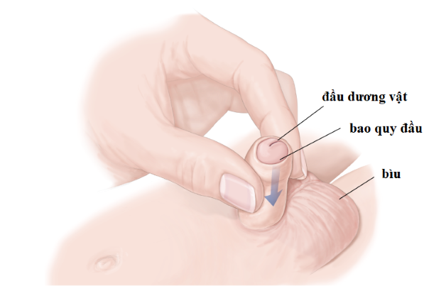 Tùy vào tình trạng bệnh của trẻ, từ đó bác sĩ sẽ đưa ra phác đồ điều trị hiệu quả và an toàn.