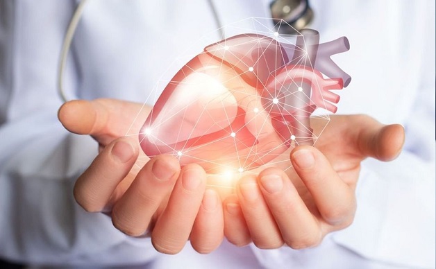 Khám chuyên khoa tim mạch thường xuyên là khuyến nghị dành cho tất cả những người muốn bảo vệ hệ tim mạch khỏe mạnh