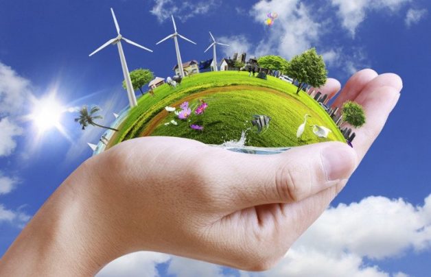 Những cách chữa viêm xoang mũi tại nhà phổ biến