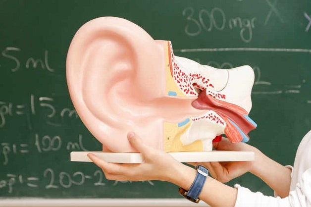 Hệ thống tiền đình