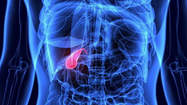 Thắc mắc bệnh polyp túi mật có nguy hiểm không