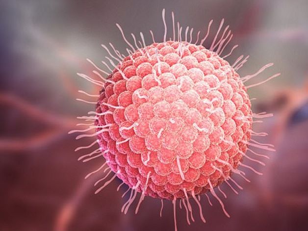 Virus có tên là Varicella Zoster chính là nguyên nhân chính gây ra bệnh thủy đậu ở trẻ nhỏ, bệnh lây lan nhanh chóng qua đường hô hấp.