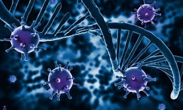 Một số loại virus gây bệnh chàm, vảy nến... có thể là tác nhân hàng đầu gây ra triệu chứng ngứa vùng nhạy cảm
