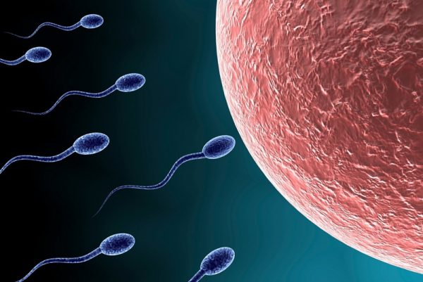 Nam giới trước khi xét nghiệm cần đảm bảo kiêng quan hệ tình dục trong vòng từ 3-5 ngày