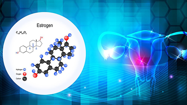 Bổ sung estrogen