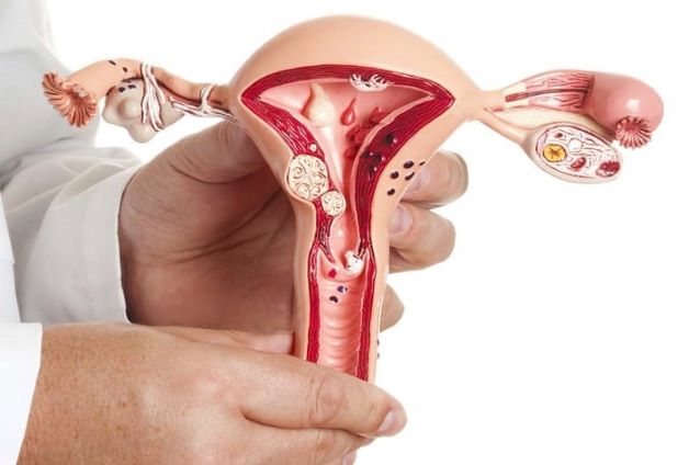 nếu chửa ngoài dạ con phải cắt đi 1 bên buồng trứng hoặc do bẩm sinh mà chỉ có duy nhất 1 bên buồng trứng thì bạn vẫn có thể làm mẹ như bao phụ nữ khác.