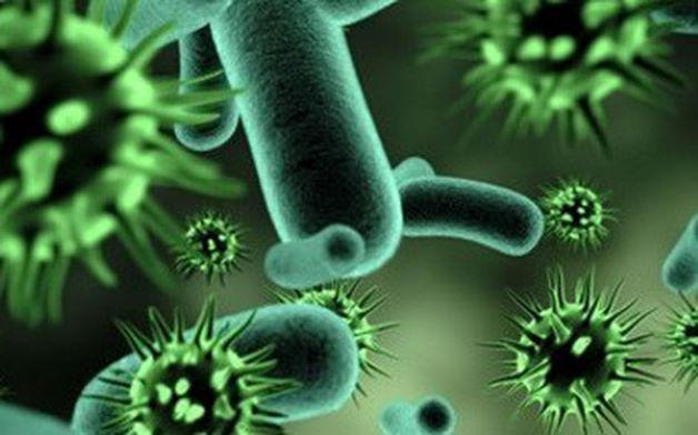 Vi khuẩn và virus là nguyên nhân chính gây ra bệnh này, vi bị tấn công sẽ khiến hệ hô hấp bị suy yếu và gây ra viêm amidan.