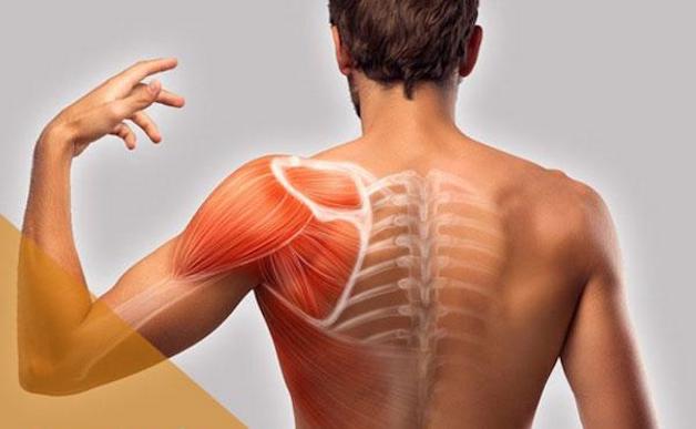 viêm khớp vai trái là gì