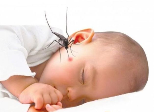 Sốt xuất huyết ở trẻ 1 tuổi là tình trạng truyền nhiễm nguy hiểm với tốc độ lây lan nhanh chóng