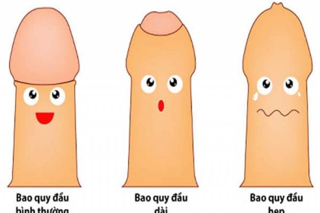 Bao quy đầu là lớp da mỏng bao xung quanh dương vật, có chức năng bảo vệ cơ quan sinh dục nam