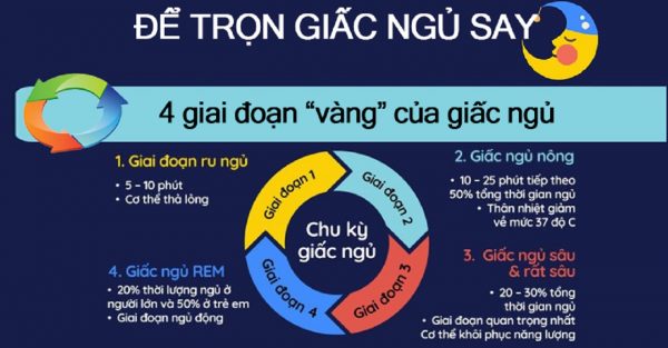 Chu kỳ giấc ngủ gồm những gì, khi nào rối loạn