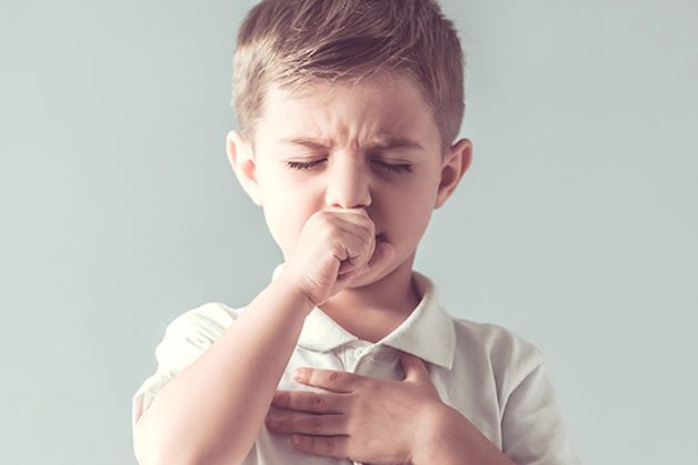 Bệnh viêm phổi ở giai đoạn đầu: Trẻ sốt nhẹ, ho kèm hiện tượng chảy nước mắt và nước mũi, thở khò khè, trẻ quấy khóc, có thể bỏ bú, chán ăn