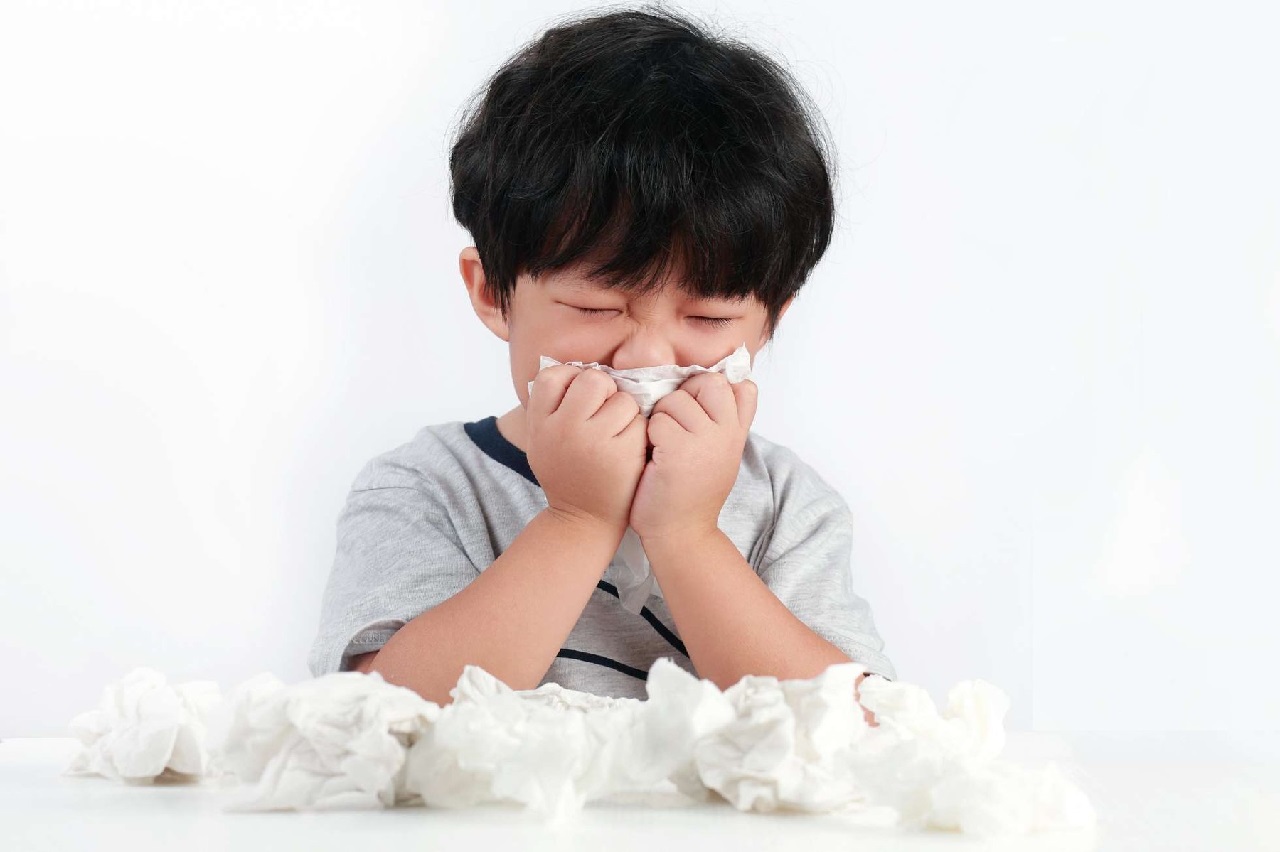 Viêm mũi dị ứng không lây nhưng thường có thể được di truyền từ bố mẹ sang con cái